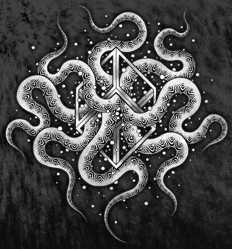 Nematocyst