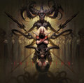 Embodiment (single)