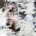 SILENT HEAVEN / SNOWBERRIES