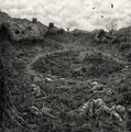 Bound by Impermanence