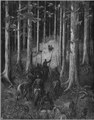 Descent into the Withering Forest