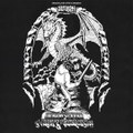 DRAGON SLAYER: STRAY & VANQUISH!!