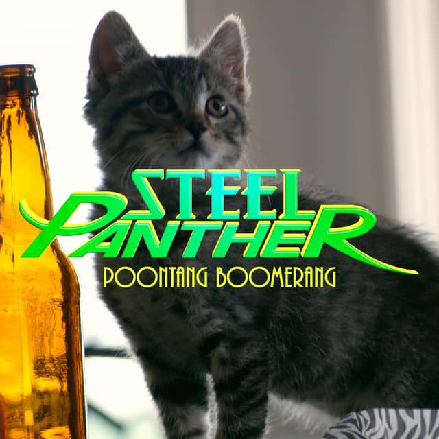 Poontang Boomerang