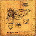 The Dissection