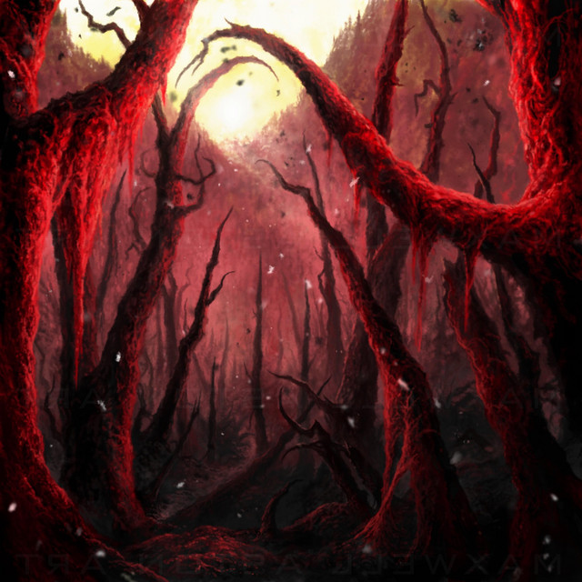 Ceremony of Ash