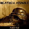 AMD-65