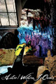 Winters in Osaka / Astro collaboration