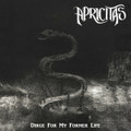 Dirge For My Former Life