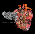 Desecration Of Human Essence