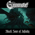 Black Seas of Infinity