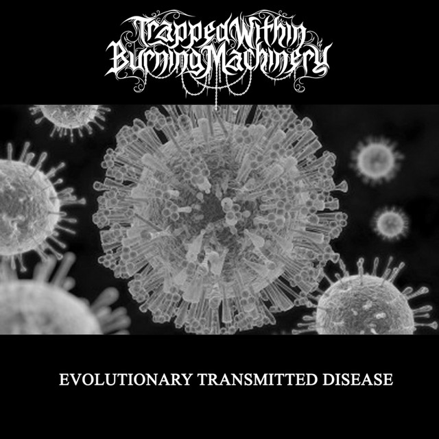 Evolutionary Transmitted Disease