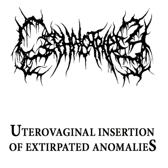 Uterovaginal Insertion of Extirpated Anomalies