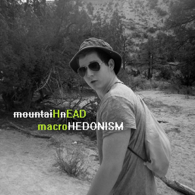 Macrohedonism