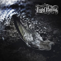 Light Being