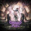 Seeds of Entropy