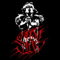 s/t demo