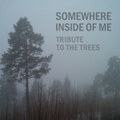 Tribute to the Trees