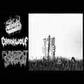 Pungent Shroud​/​Chain Wolf​/​Skvm Split