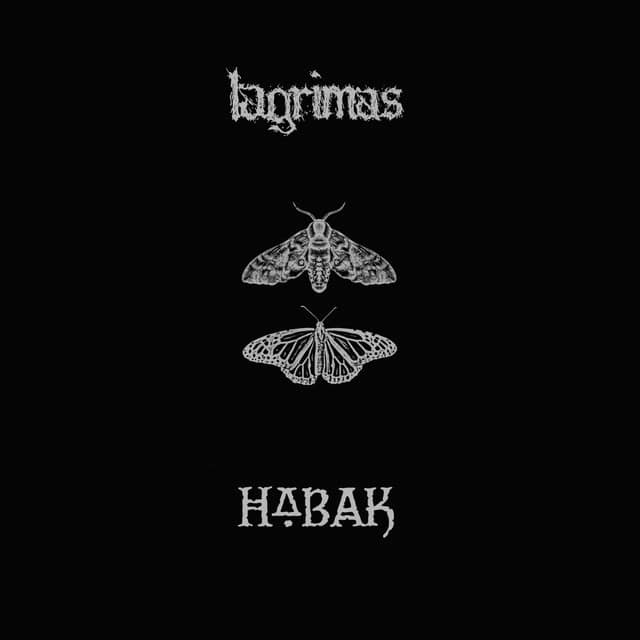 Lagrimas // Habak