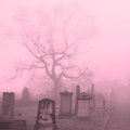 The Funeral Party (The Cure Cover)