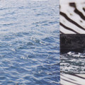 Oceanic Debris