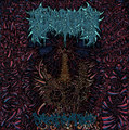 DECREPIT FLESH RELIC (PLEASE READ)