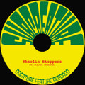 sholin steppers (feat. Digital Vagabond)