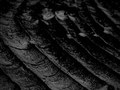 Lacrymal Spire