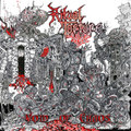 Void of Chaos