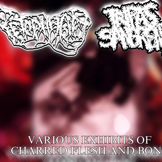 Various Exhibits Of Charred Flesh And Bone