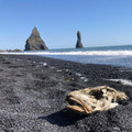 Svartidauði