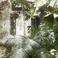 Vestiges Angulaires