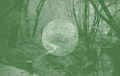 Split Album with ((...))