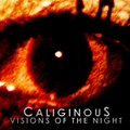 Visions Of The Night