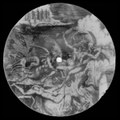7" Picture