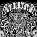 2010 Demo CDR