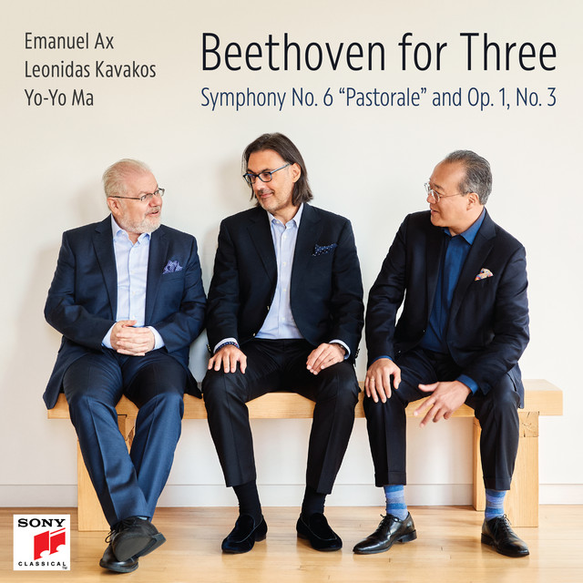 Piano Trio No. 3 in C Minor, Op. 1, No. 3/IV. Finale. Prestissimo