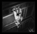 Divine Violence (demo)