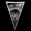 Ash Borer