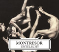 Entelechy