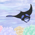 Aquatica
