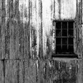 the_window.avi