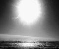 Grey Sun