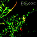 Bio-Logic
