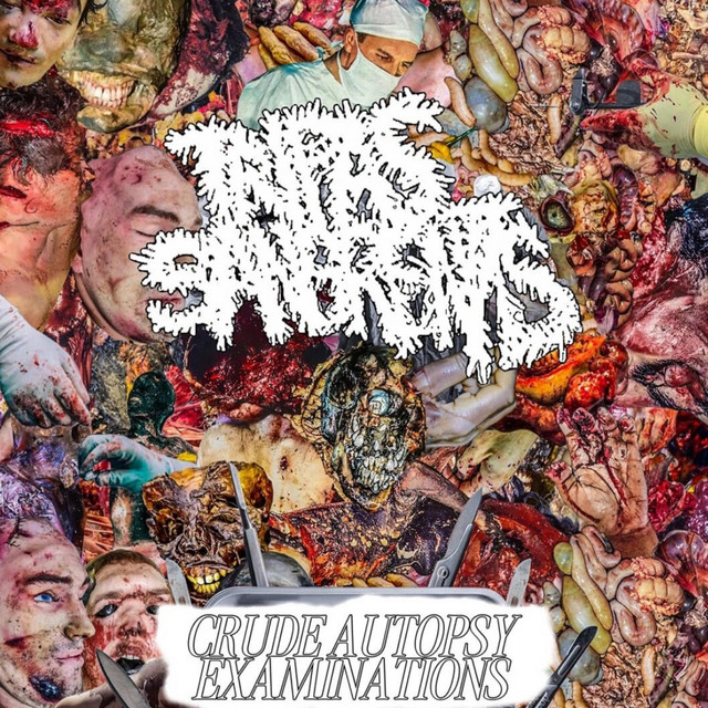 Crude Autopsy Examinations