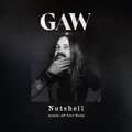 Nutshell (AIC Acoustic Cover)